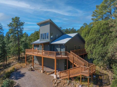 Deer Lover's Paradise