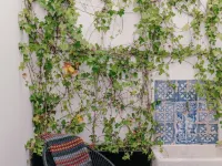 Casa do Gadanha Hotels in Estremoz