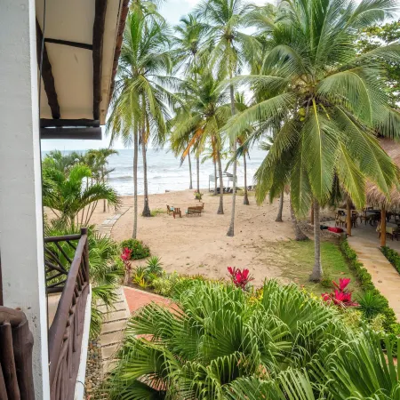 Coconuco Beach Palomino