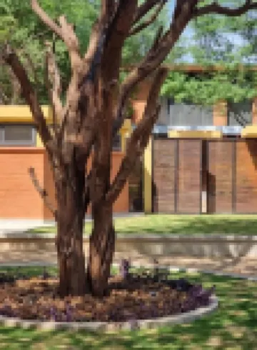 Aerys Village Hotéis em 