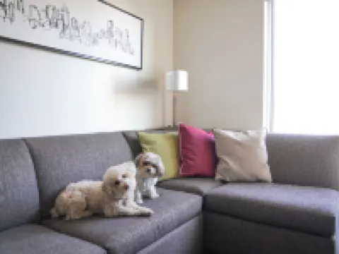 Hyatt House Schenectady / Mohawk Harbor Hotel di Schenectady