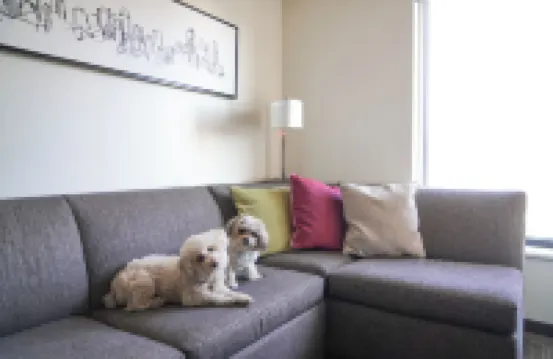 Hyatt House Schenectady / Mohawk Harbor