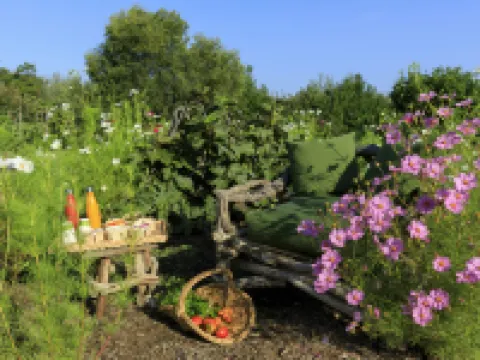 Grand Hôtel de Cala Rossa & Spa Nucca Hotéis em Lecci