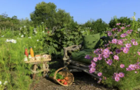 Grand Hôtel de Cala Rossa & Spa Nucca