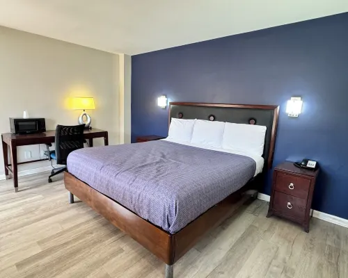 Economy 7 Inn Hampton Hotels in Hampton