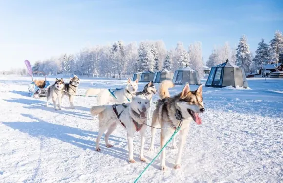 極光湖小屋，位於拉努阿