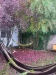 Hostel Cosmo