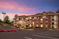 Comfort Inn & Suites Suwanee - Sugarloaf