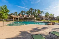 Rayford Crossing RV Resort - Swimmingpools