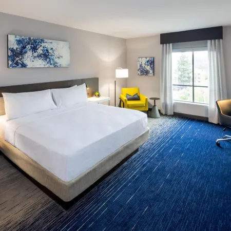 Hilton Garden Inn Redmond Seattle