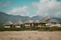 ventusbay