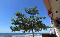 Monaliza Surf Resort - Ocean View