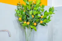 Bright 3BR Duplex Steps from Shops & Dining - 주방