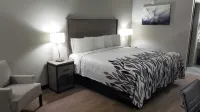 Red Roof Inn Cullman - Pet friendly