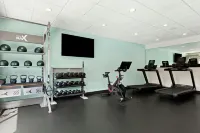 Tru by Hilton Asheville Blue Ridge Parkway - Gym