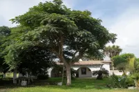 Nature Retreat 4BR with Pool in Cañete - homestay