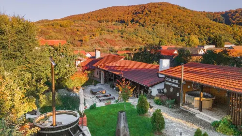 Casa Dives - Varianta Boierească - 3-Star
