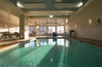 Hilton Garden Inn Bolingbrook - Pool