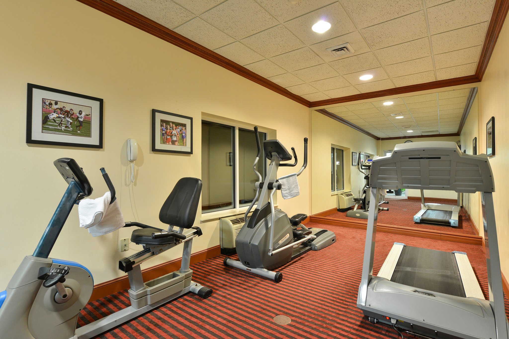 Holiday Inn Express Campbellsville, an Ihg Hotel