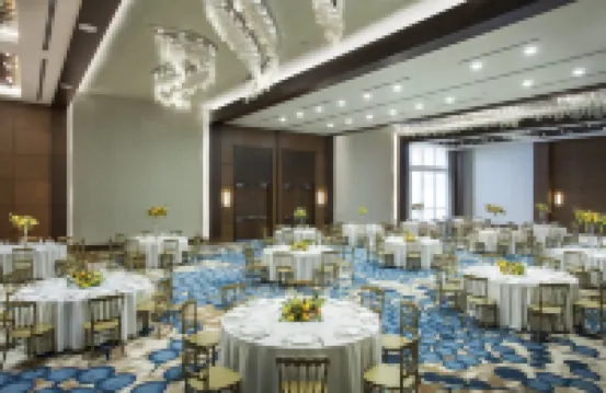 더 웨스틴 시라소타