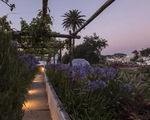 Villa la Pergola Capri Dekat Hotel Photos