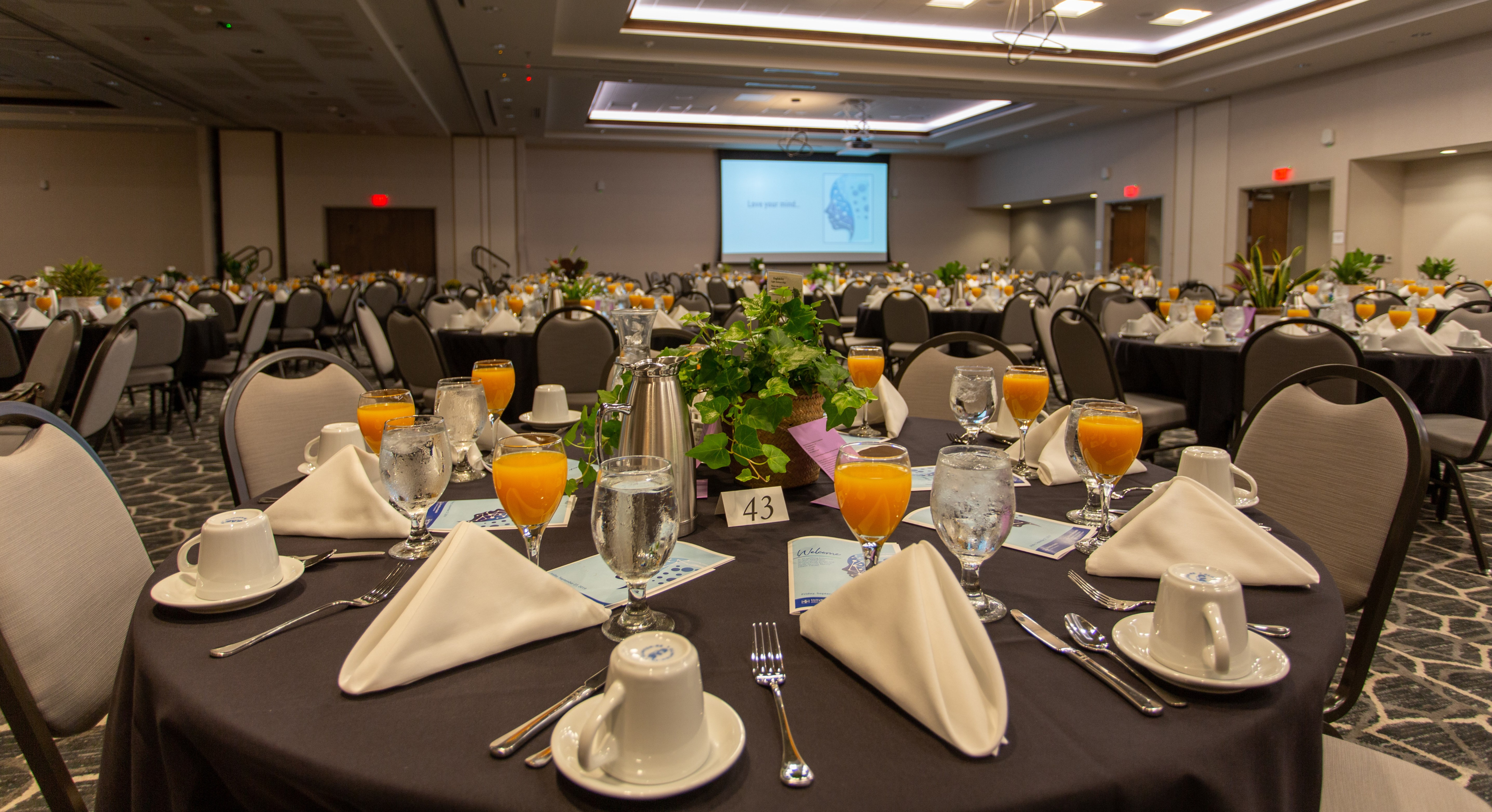 Hilton Garden Inn Cedar Falls Conference Center