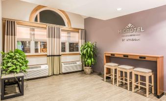 Microtel Inn & Suites by Wyndham Victor/Rochester