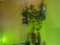 Alonia Hotel Apartments Hotels in Kolymvari