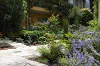 Hotel de Toiras Hotels in La Couarde-sur-Mer