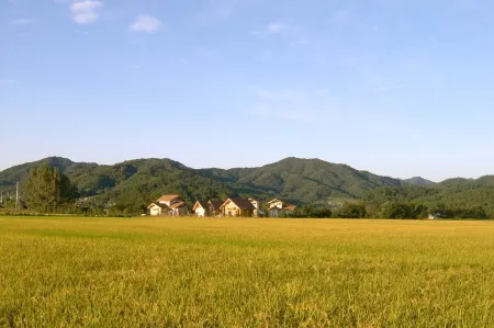 Cheorwon Argo Log Pension Отели в г. Чхорвон