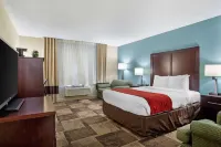 Wyndham Garden Newark/Fremont Silicon Valley Hotels in Newark