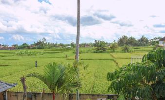 Kubu Sari Ubud