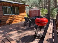 Owl Cabin Hotels in Fawnskin
