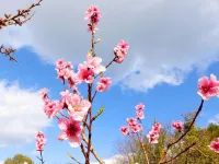 Apartmani Gabric Hotels in Rogac