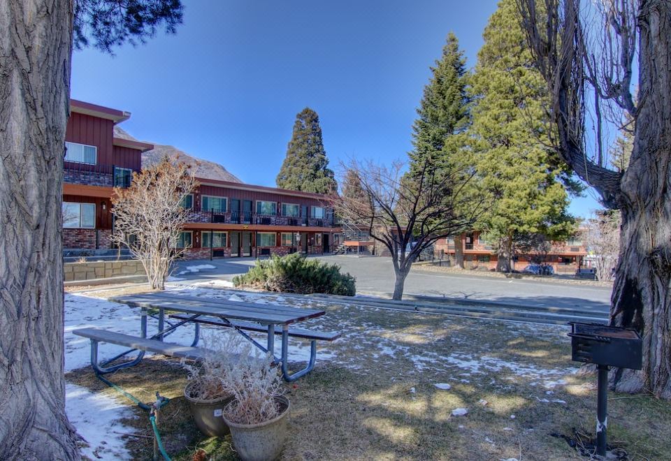 Lake View Lodge-Lee Vining Updated 2023 Room Price-Reviews & Deals |  