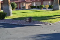 El Rancho Dolores at JT National Park Hotels in Twentynine Palms
