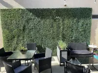 Dune Surfer Inn Các khách sạn ở Grover Beach