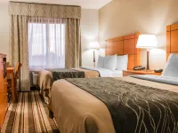 Comfort Inn Metro Airport