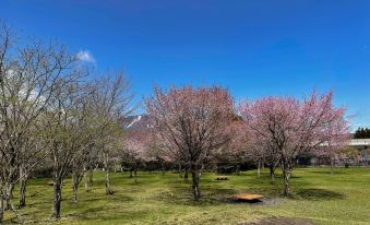 Tree Village Karuizawa South Villa