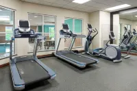 Homewood Suites by Hilton Cleveland-Beachwood - Aamiainen