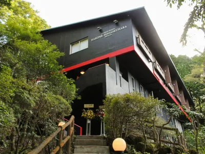 LiVEMAX RESORT HAKONESENGOKUHARA Hotels in Ashigarashimo District