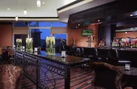 Marina Inn at Grande Dunes - Barer