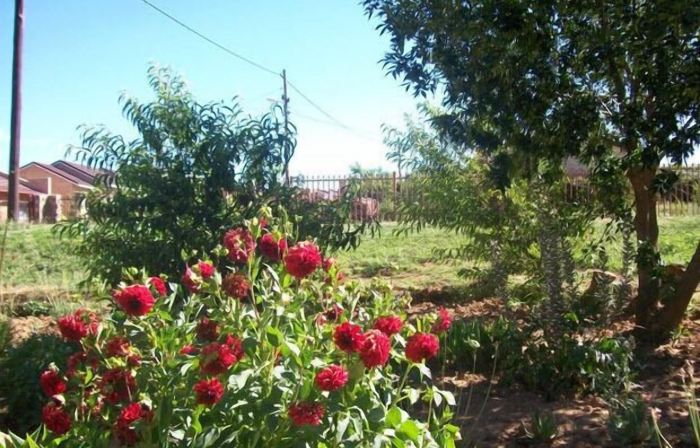 Aligeo Guest House