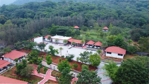 Aara Jungle Resort