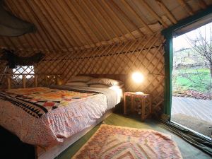 2 Luxury Yurts & Barn Kitchen Big Garden- Sleeps 9