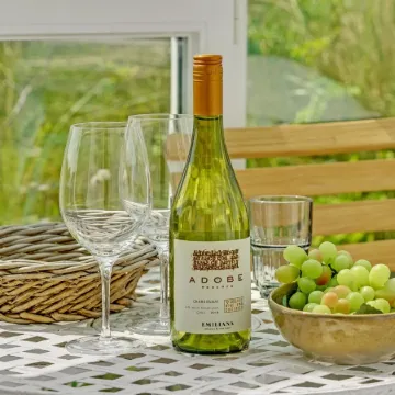 "Quirina" - 75m from the Sea