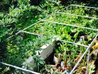 Kumamoto Farm Stay Các khách sạn ở Mifune