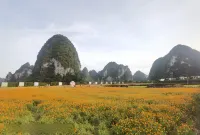 (Jiuzhou Scenic Area)