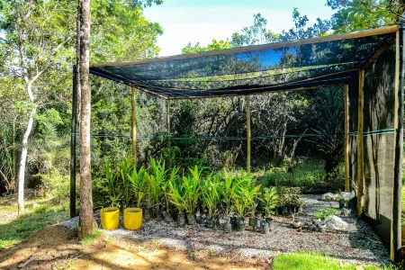 Pousada Bellatrix Ecolodge - Reserva de Sapiranga - Praia do Forte - Bahia