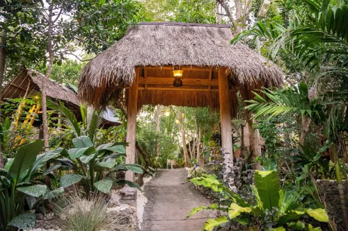 Bohol Coco Farm Hostel - Apartments